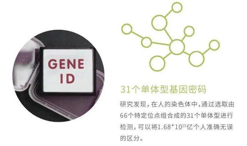 華大基因安馨可基因檢測系列產品全新上市，開啟精準健康管理新時代