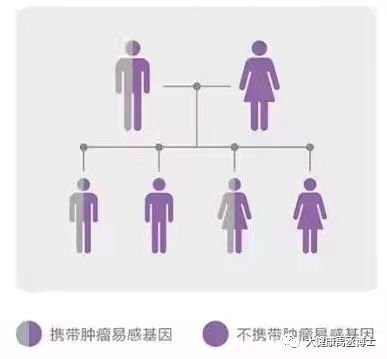 健康托付，關(guān)愛(ài)彼此 腫瘤基因檢測(cè)在療養(yǎng)院中的守護(hù)與溫度